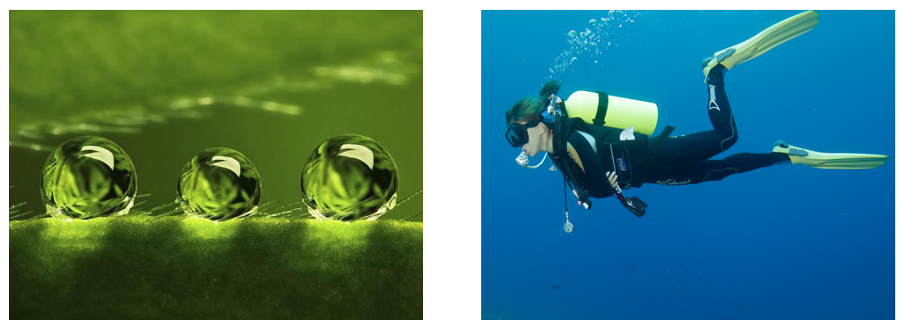 水滴角測試儀在仿生材料行業(yè)應(yīng)用